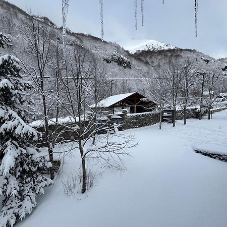 Villa Vikendice Biocinovici à Kolašin Extérieur photo