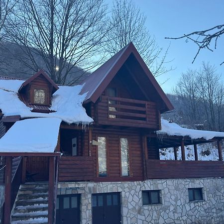 Villa Vikendice Biocinovici à Kolašin Extérieur photo