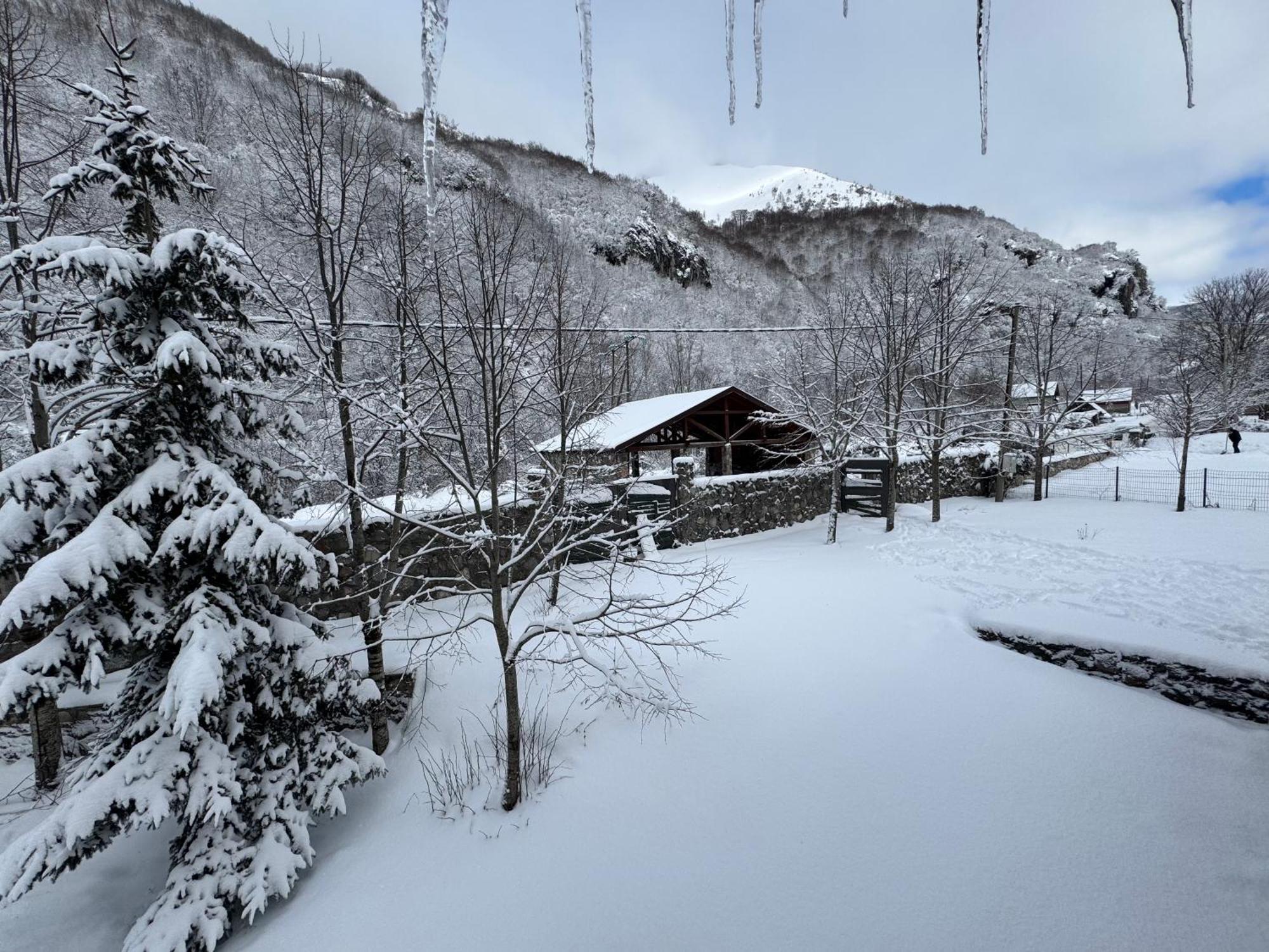 Villa Vikendice Biocinovici à Kolašin Extérieur photo